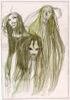 lamii_a.jpg (101520 bytes)