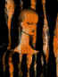 Dcolor_m.jpg (36604 bytes)